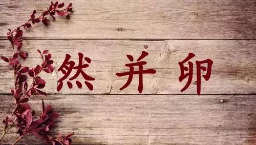 号称luna平价版的德国贝儿洁面仪竟然不是德国货!