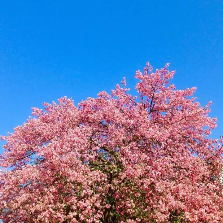 华软科技的趋势,华软科技有多厉害