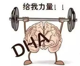 早产宝宝有必要额外补充dha吗,早产宝宝补充dha一天需要补充多少