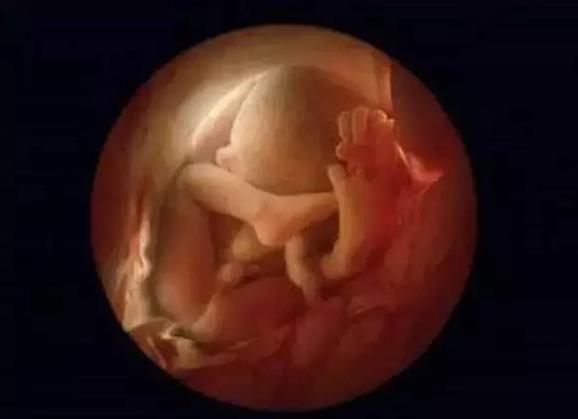 胎儿在肚子里听的声音响吗,胎儿在肚子里滑到一边