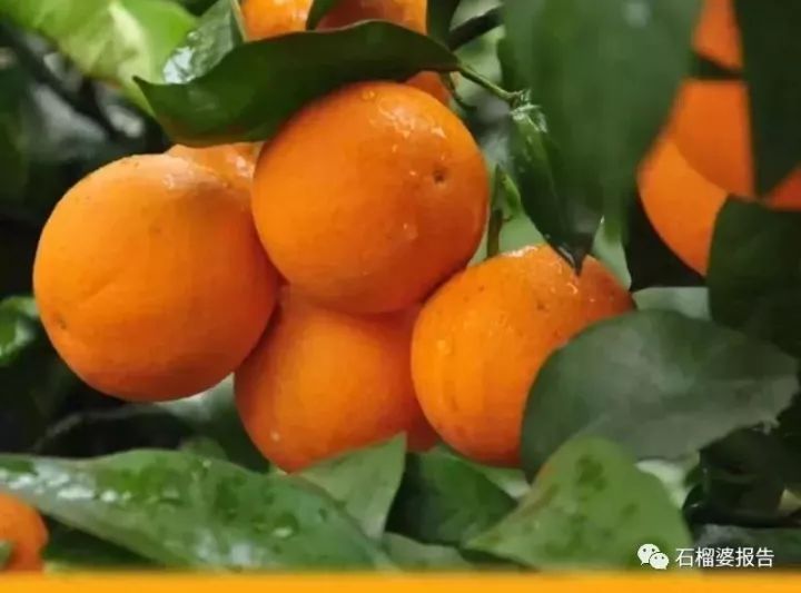 一天能赚十多万的工作,有什么兼职一天能赚30到50块