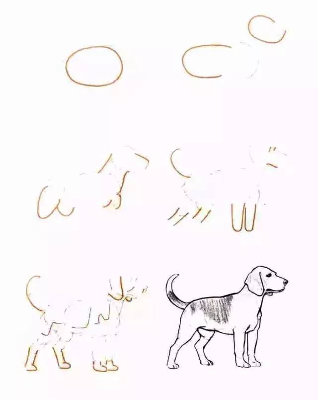 艾莎公主怎么画简单又漂亮简笔画,蔬菜的简笔画怎么画又好看又简单