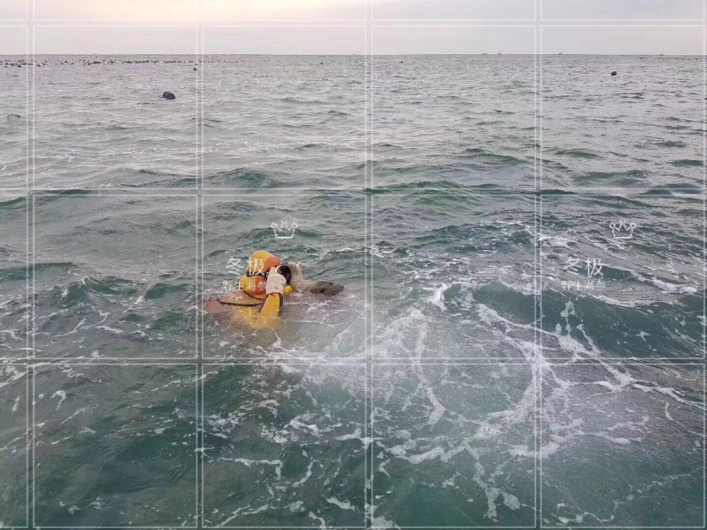 吃海参的好处和功效文案,吃海参的好处的文案