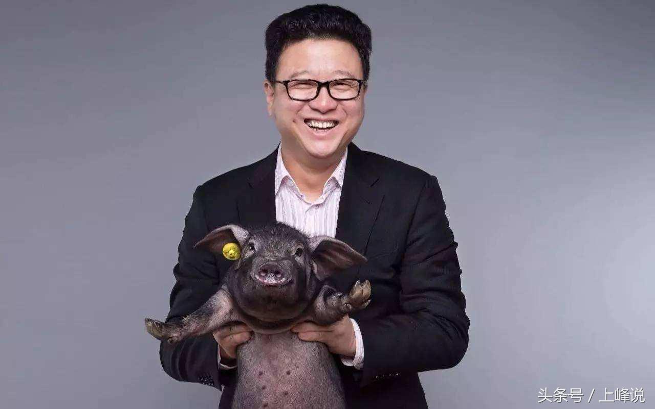 网易丁磊养猪视频现在怎么样了,味央猪肉丁磊