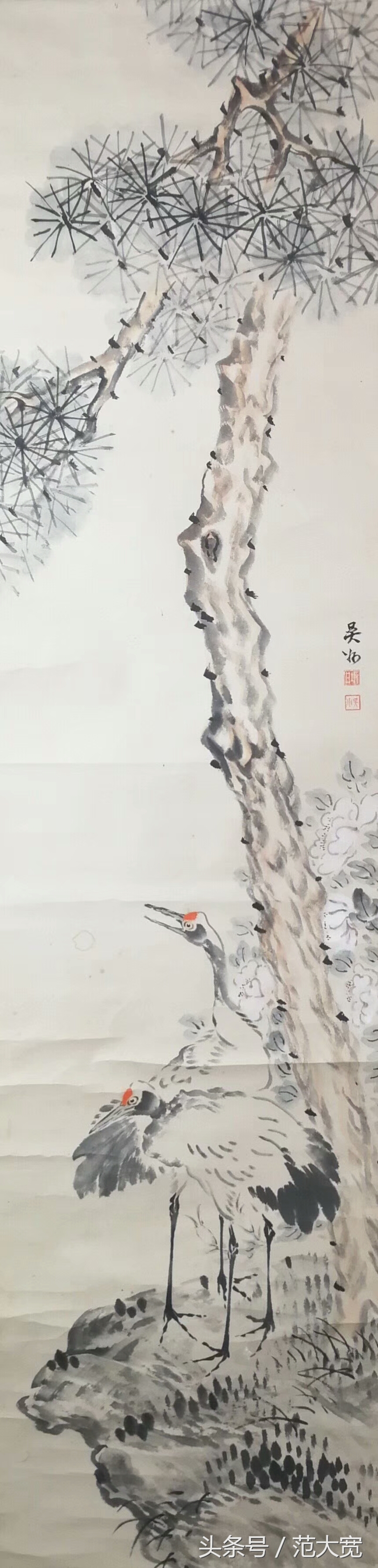 日本画师画仙鹤,仙鹤画作讲解