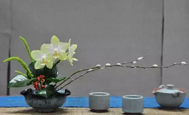 茶器之美推荐,熹香坊喝什么茶好