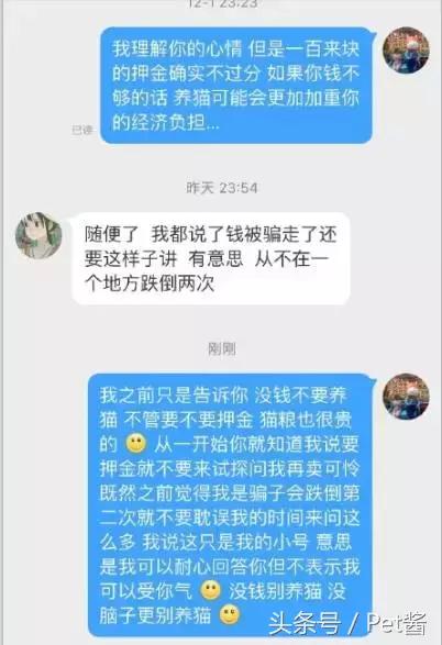 救助者领养猫狗,领养猫咪时说什么能让原主人放心