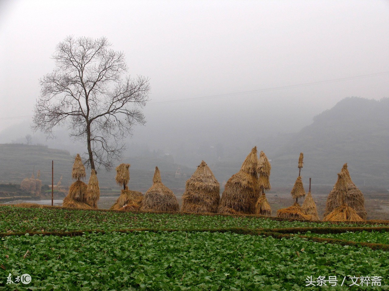 梦里故乡,梦里故乡西马庄