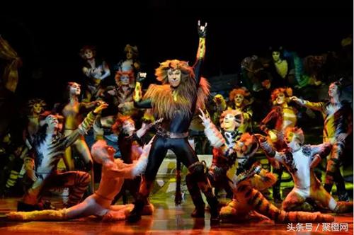 猎场插曲一场恋爱杨宗纬,猎场一场恋爱