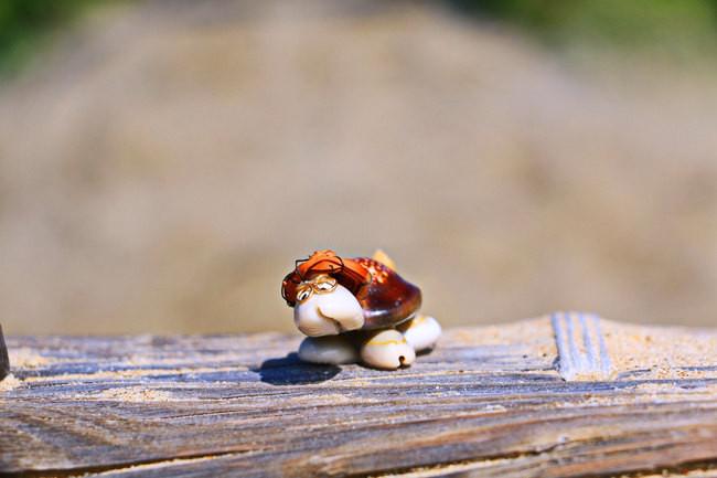 三亚市最美的景色拍摄,拍摄美丽三亚