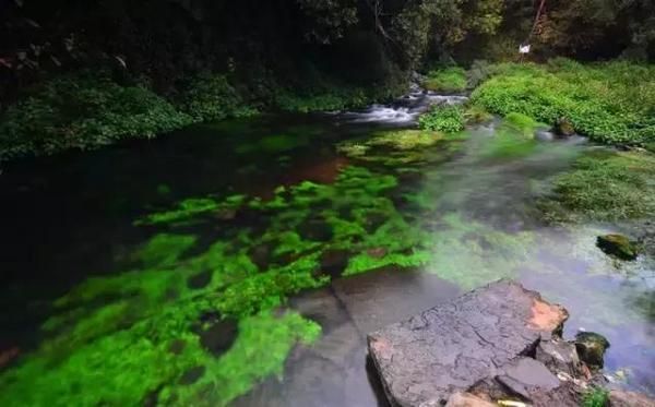 北京直飞腾冲3.4折起:赏银杏泡温泉逛古镇惬意的冬日旅行