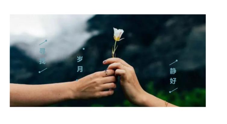 离城市不远靠自然很近,离城市不远却离自然很近完整版