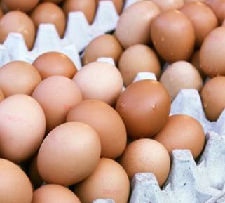 土鸡蛋怎样选,土鸡蛋洋鸡蛋哪种鸡蛋会更好