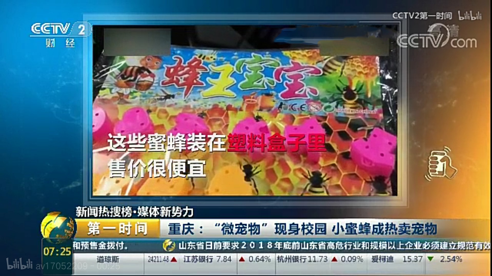 小学生宠物最便宜又好养,小学生小宠物