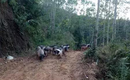 最新农产品供求信息,大农圈最新文章