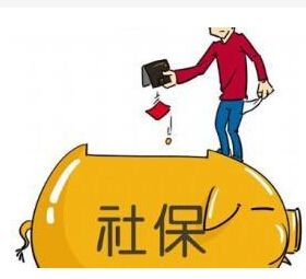 公司不给员工缴纳保险，应该怎么办？