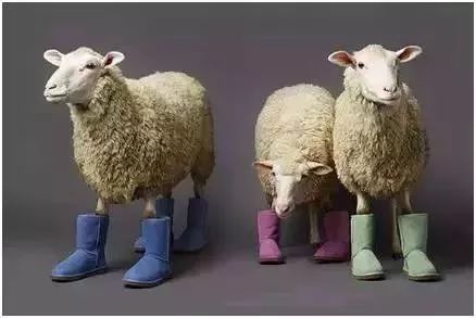 ugg和其他牌子区别,ugg到底是不是一个品牌