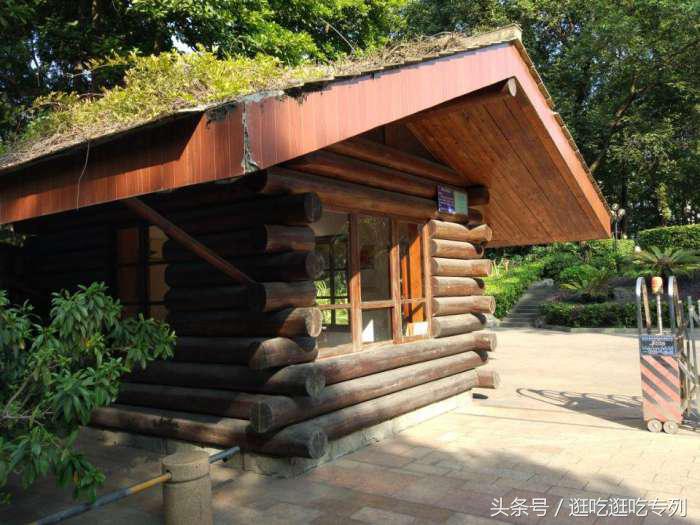 荔枝公园有什么景点,荔枝公园有没有平地