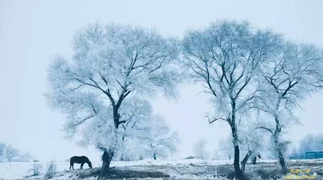 等待一个一起去旅行的人,想和一个人一起去旅行的句子