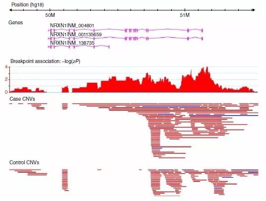 拒绝墨守成规的诗句,分析切忌以偏概全