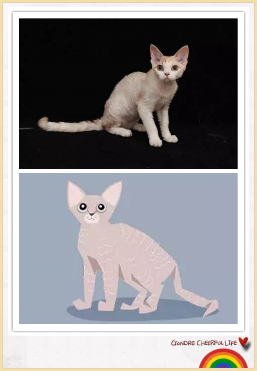 猫咪插画手绘图片,各种猫咪萌化图片