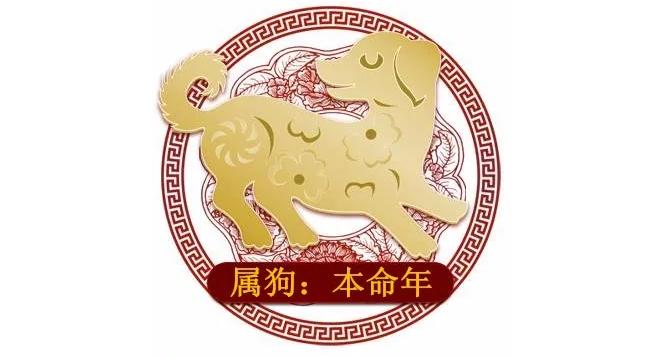 十二生肖运势及吉凶详解,十二生肖命运吉凶祸福断法