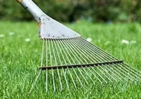 如何做好新植草坪的养护管理,新种植草坪的养护管理