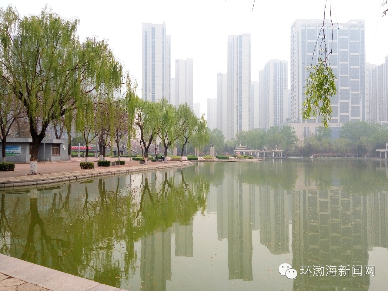 唐山大钊公园海棠,唐山新闻联播今日回放