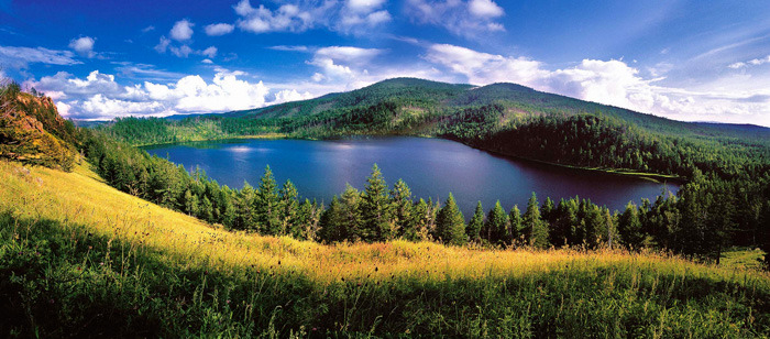 年度盛事腾龙行跟着大师去创作正式启动