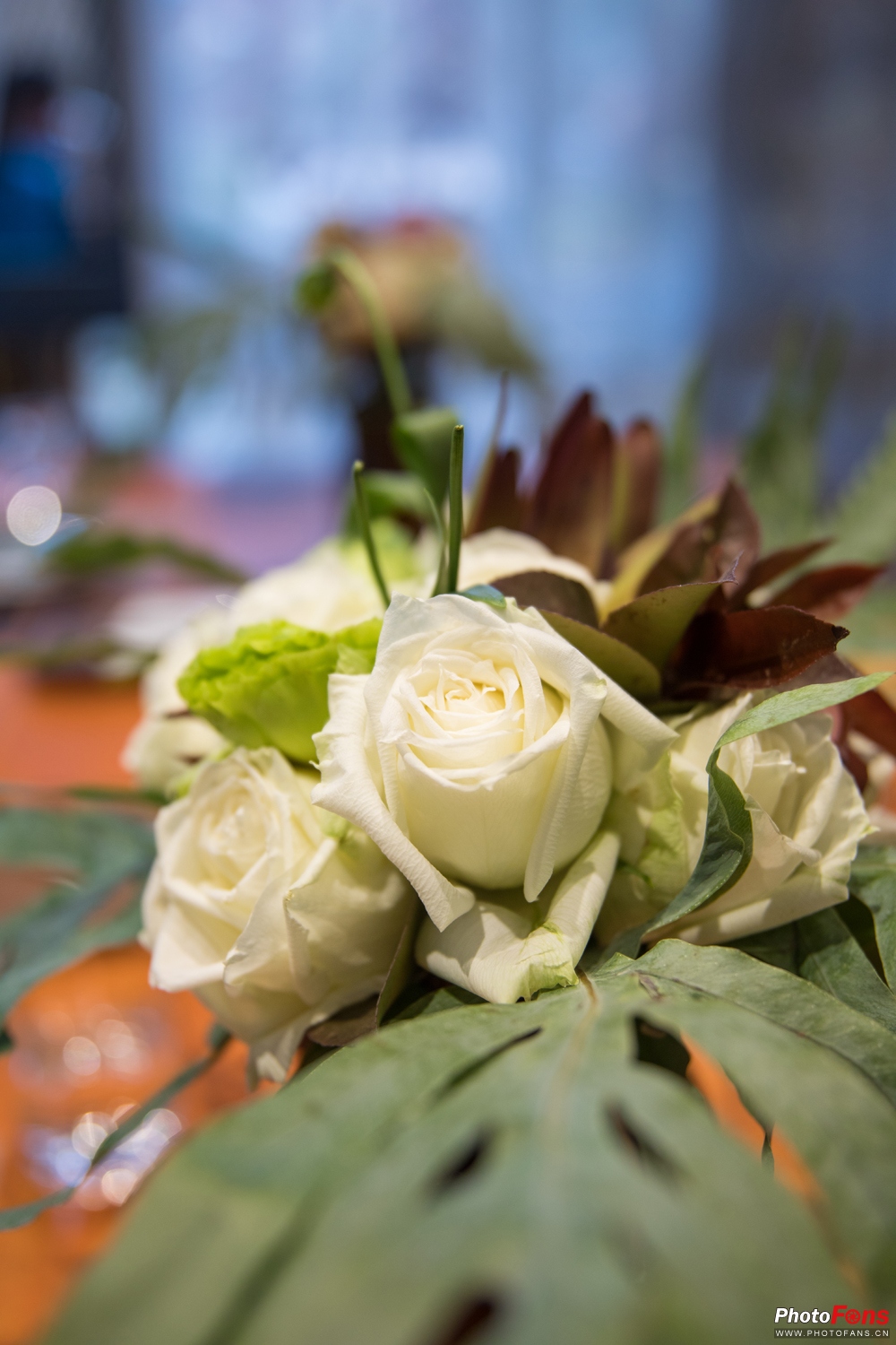 带上跑鞋去旅行,带着马去旅游的车