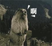 买保健品小心上当,买保健品受骗如何退货