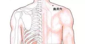 气大伤身了吃什么药调理,易怒体质该怎么调理