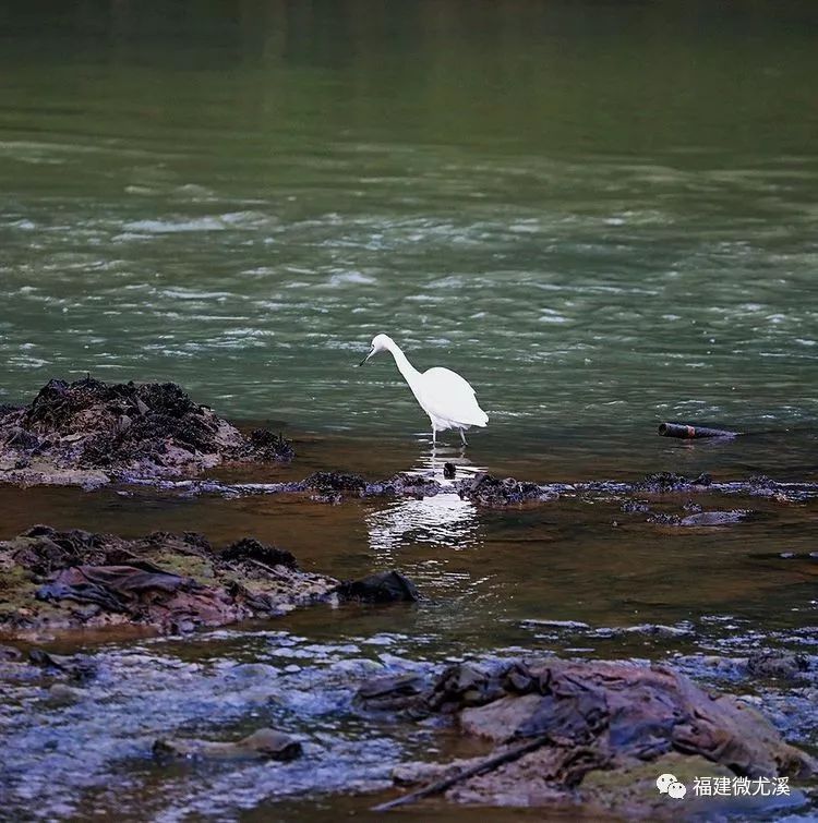 尤溪夏天旅游,关于尤溪的风景介绍