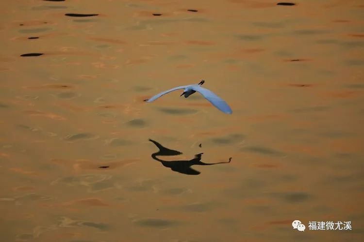 尤溪夏天旅游,关于尤溪的风景介绍