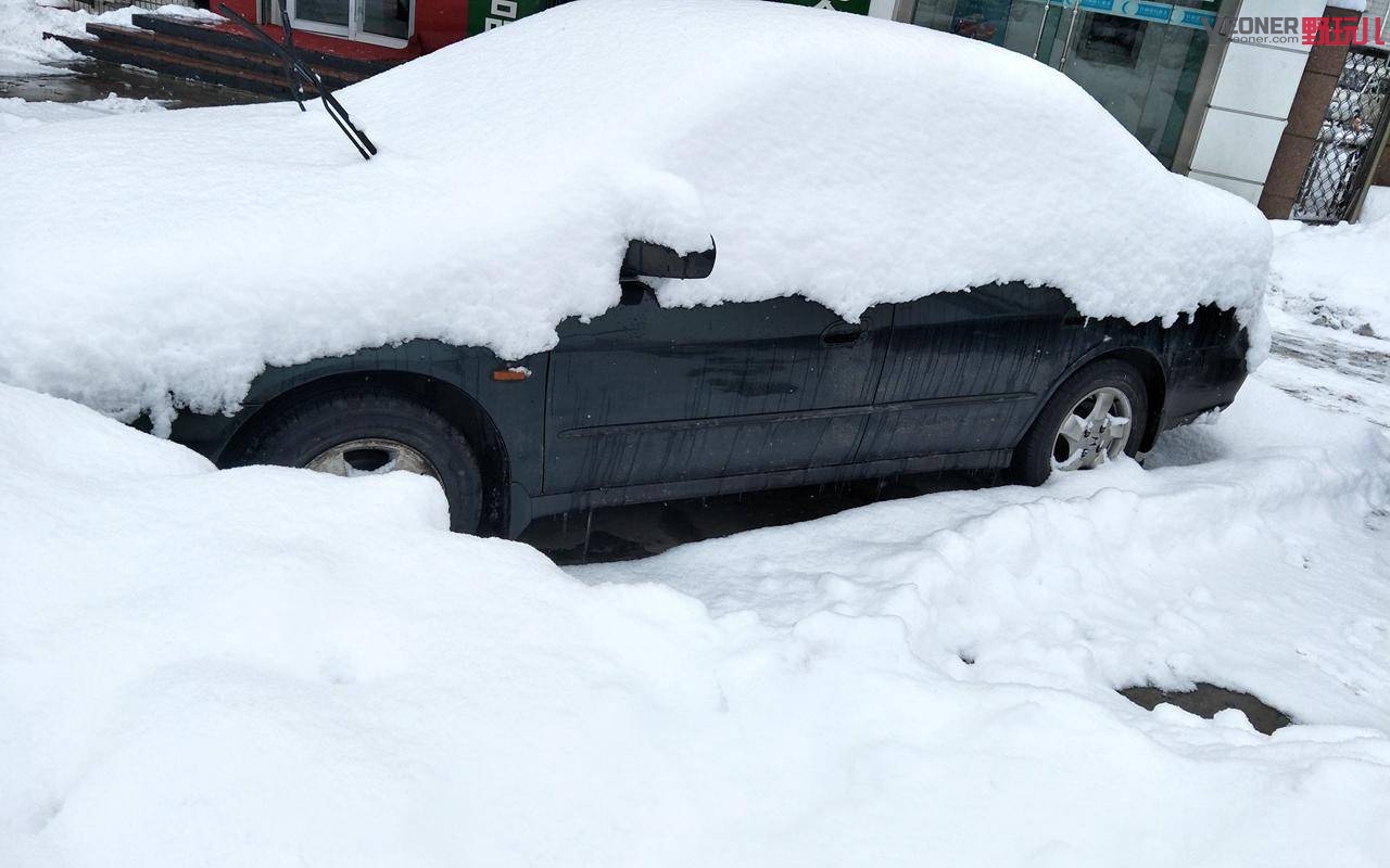 thenorthface性价比最高单品,thenorthface是什么牌子