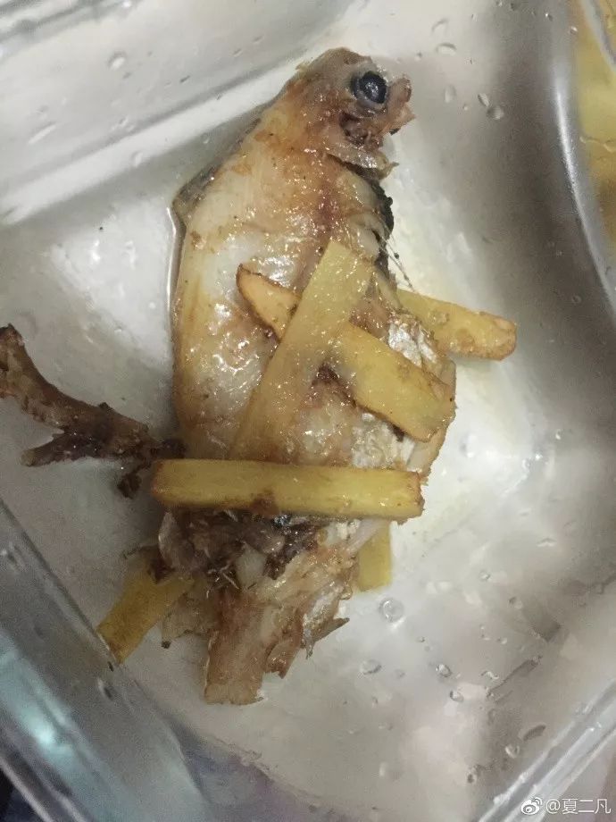 爆笑！天津网友晒图爆料女友把鱼炸成“鸟”，鱼临死前表示“鬼知道我经历了什么”