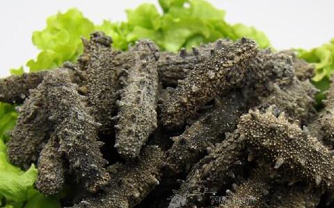 不到十元一个的海参,平价海参2元