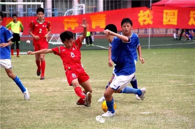 2023年东莞市小学生足球赛,厚街镇第六届小学生足球联赛