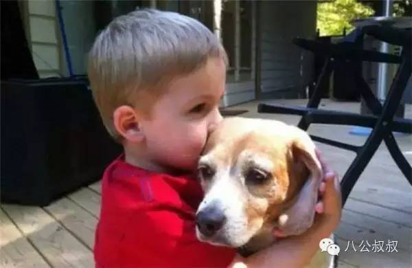 这是我的零用钱,请拿去给狗狗买防弹衣