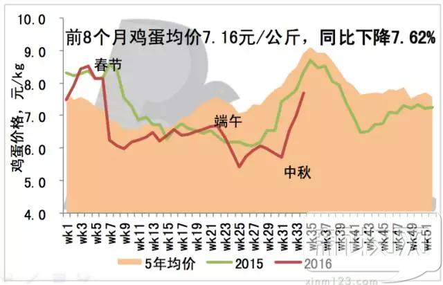 2020年中国蛋鸡业的规模,蛋鸡行业分析报告