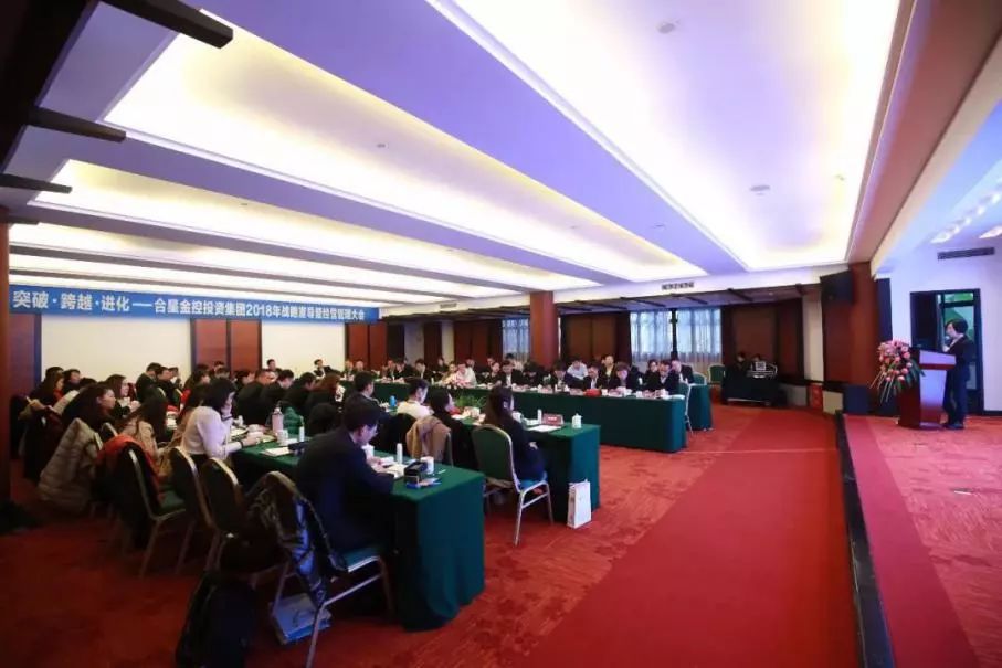 一体两翼发展战略,一体两翼再次腾飞