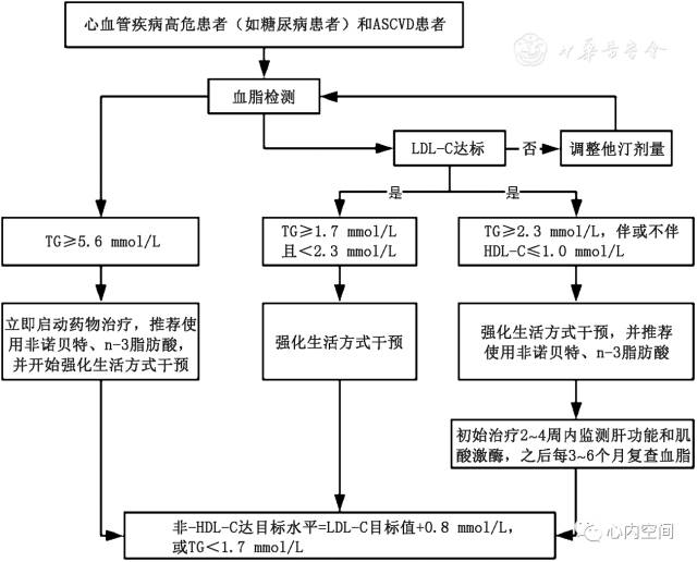 中国高甘油三酯血症共识,高甘油三酯血症属于心血管疾病吗