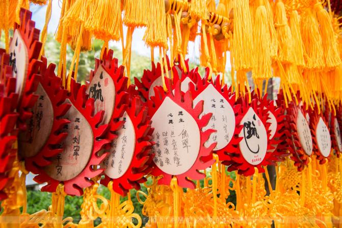 和父母的三亚之旅,带着爸妈去海岛旅游