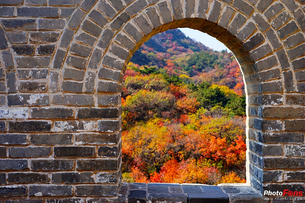 佳能eos800d摄影视频,相机初学者推荐佳能800d