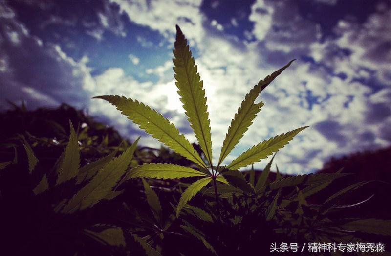 一言不合就动手真的好吗,一言不合就想拼命