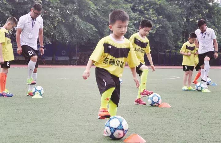 足协即将成功的决定,2020年中国足协