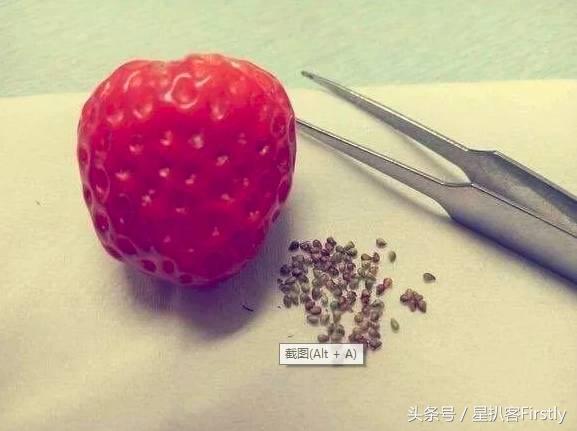 不精致女生必须交税，应该写入基本法！