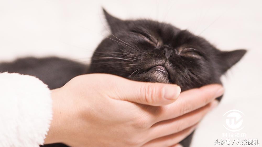 奥林巴斯45mm1.8镜头测评,奥林巴斯14-150ii镜头评测