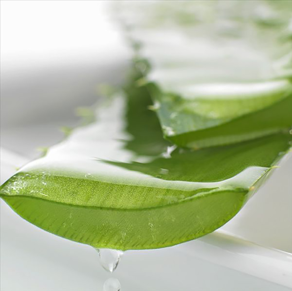 自然共和国芦荟胶效果怎么样,自然共和国芦荟胶怎么样