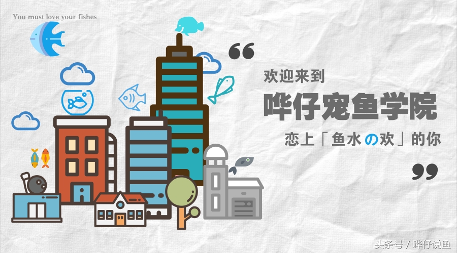 银龙鱼为什么能卖那么贵,银龙鱼真的很贵吗